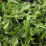 rucola